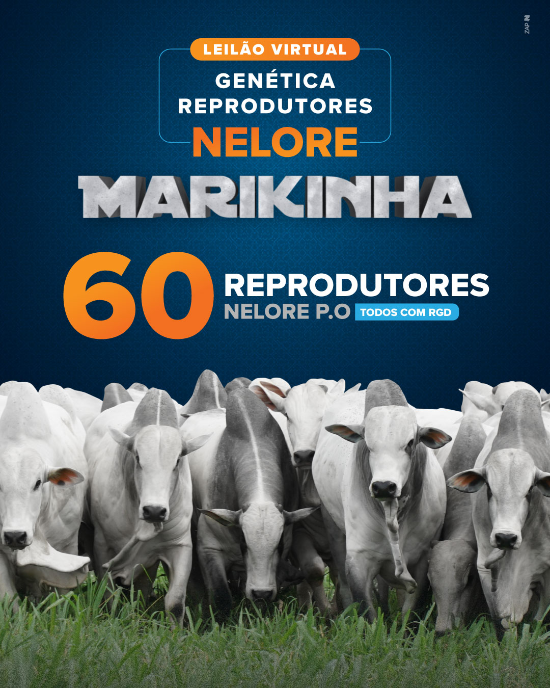 Imagem do Leilão