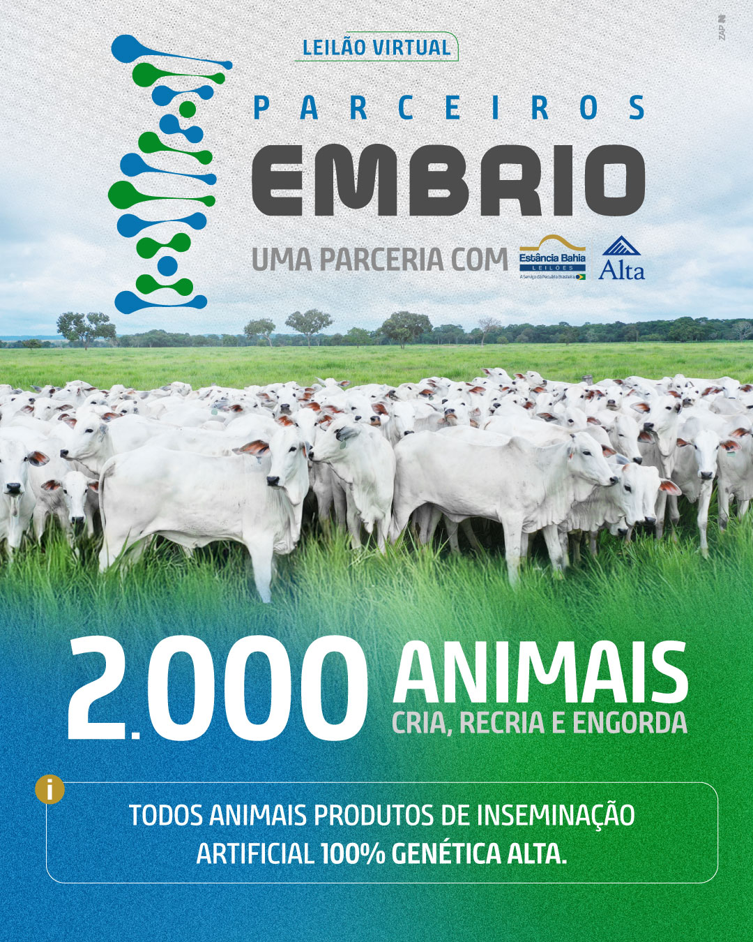 Imagem do Leilão