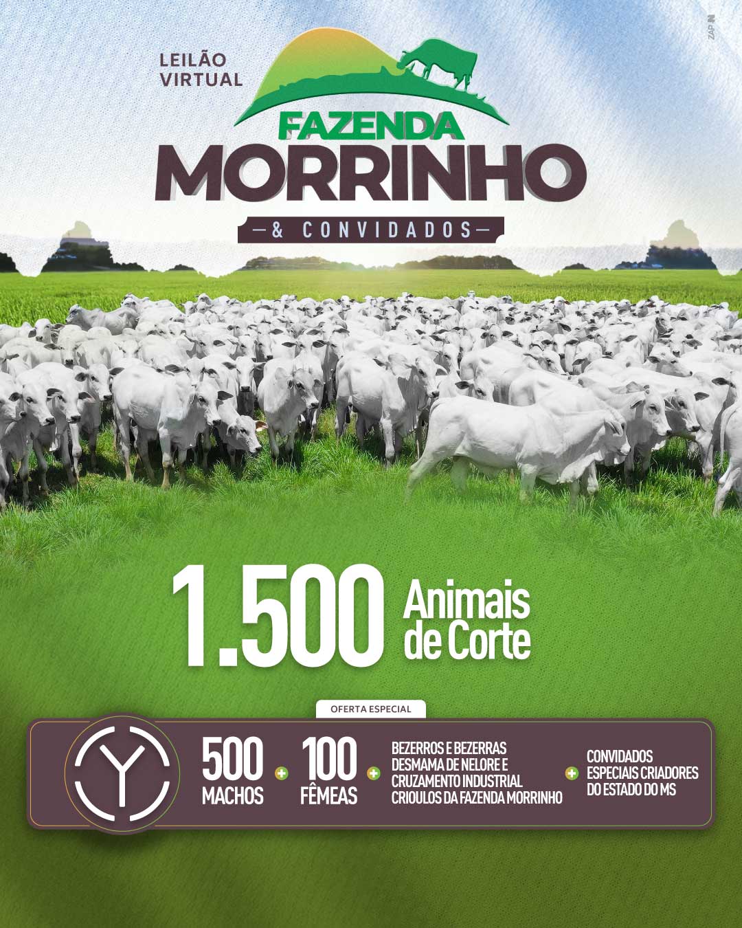 Imagem do Leilão