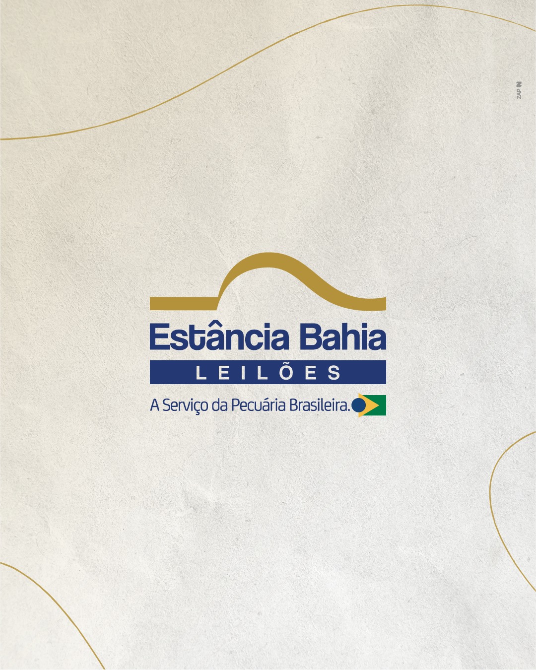 Imagem do Leilão