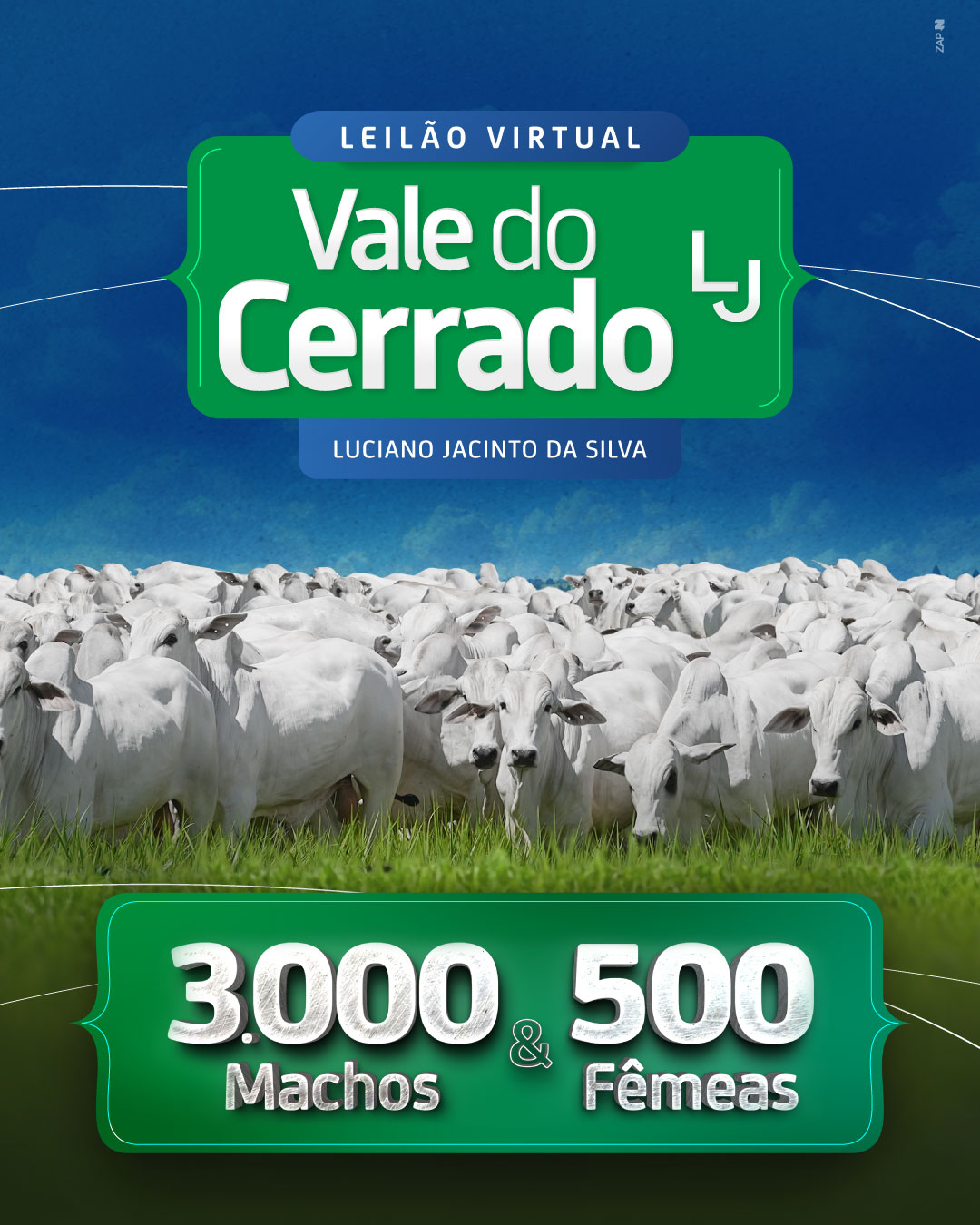 Imagem do Leilão