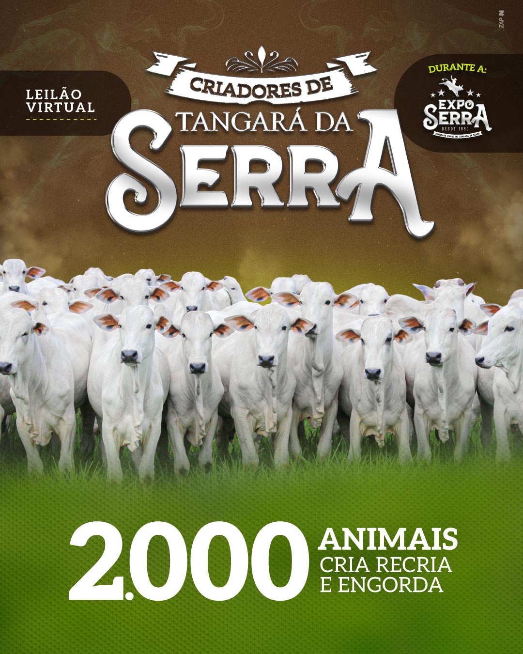 Imagem do Leilão
