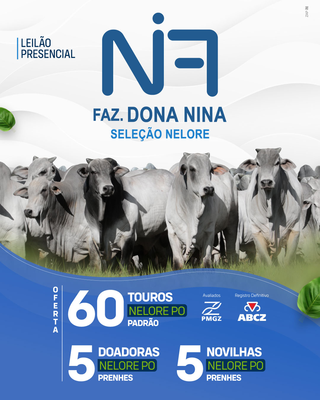 Imagem do Leilão