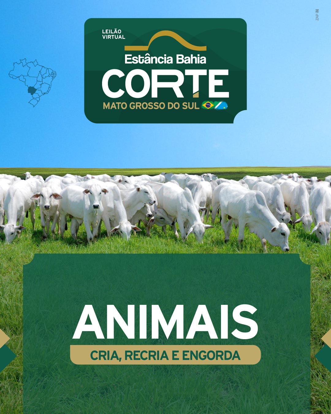Imagem do Leilão