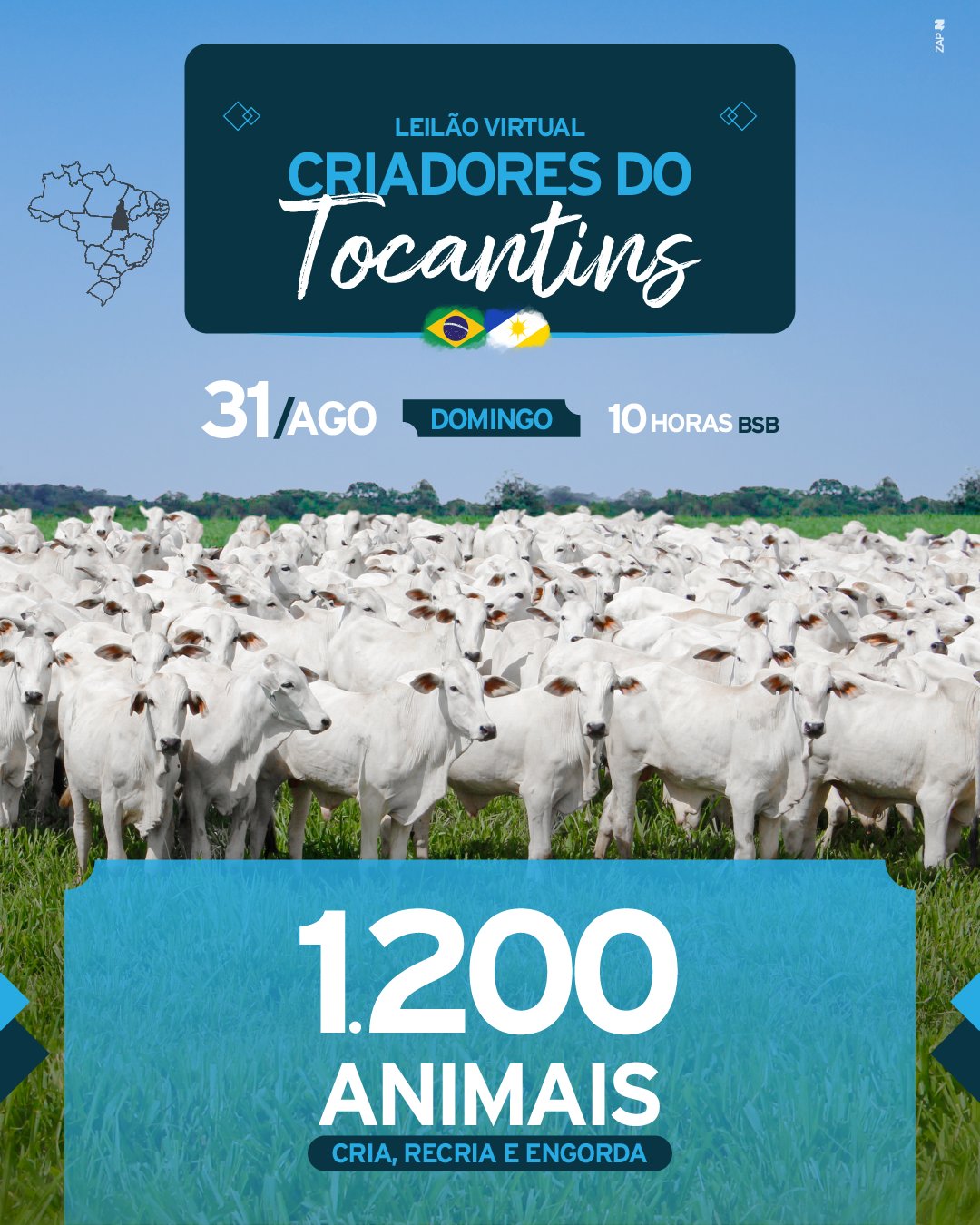 Imagem do Leilão
