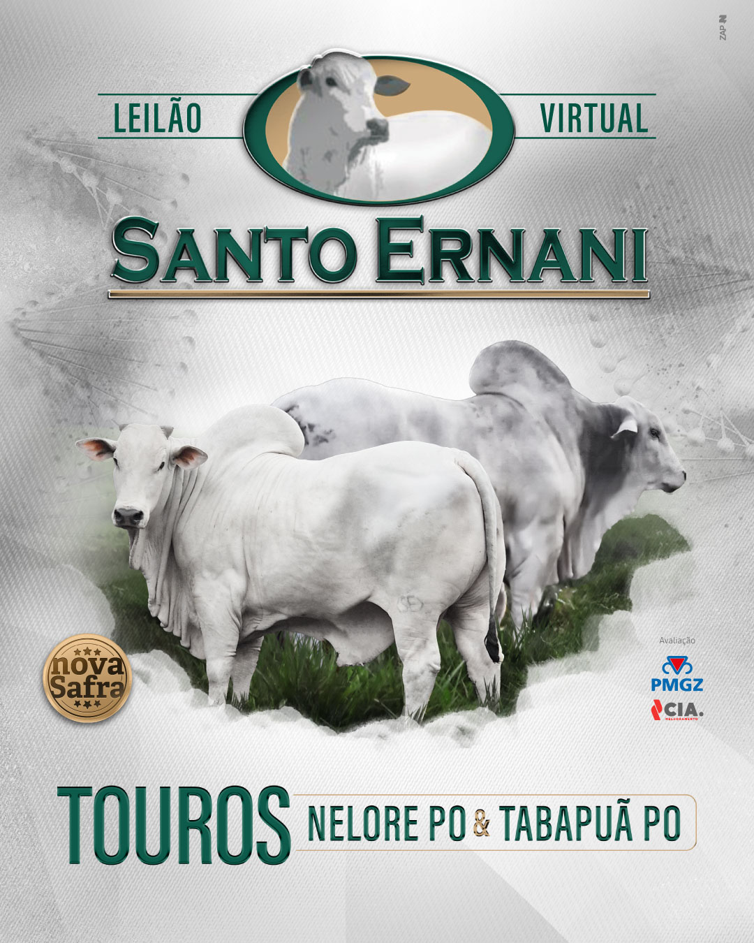 Imagem do Leilão