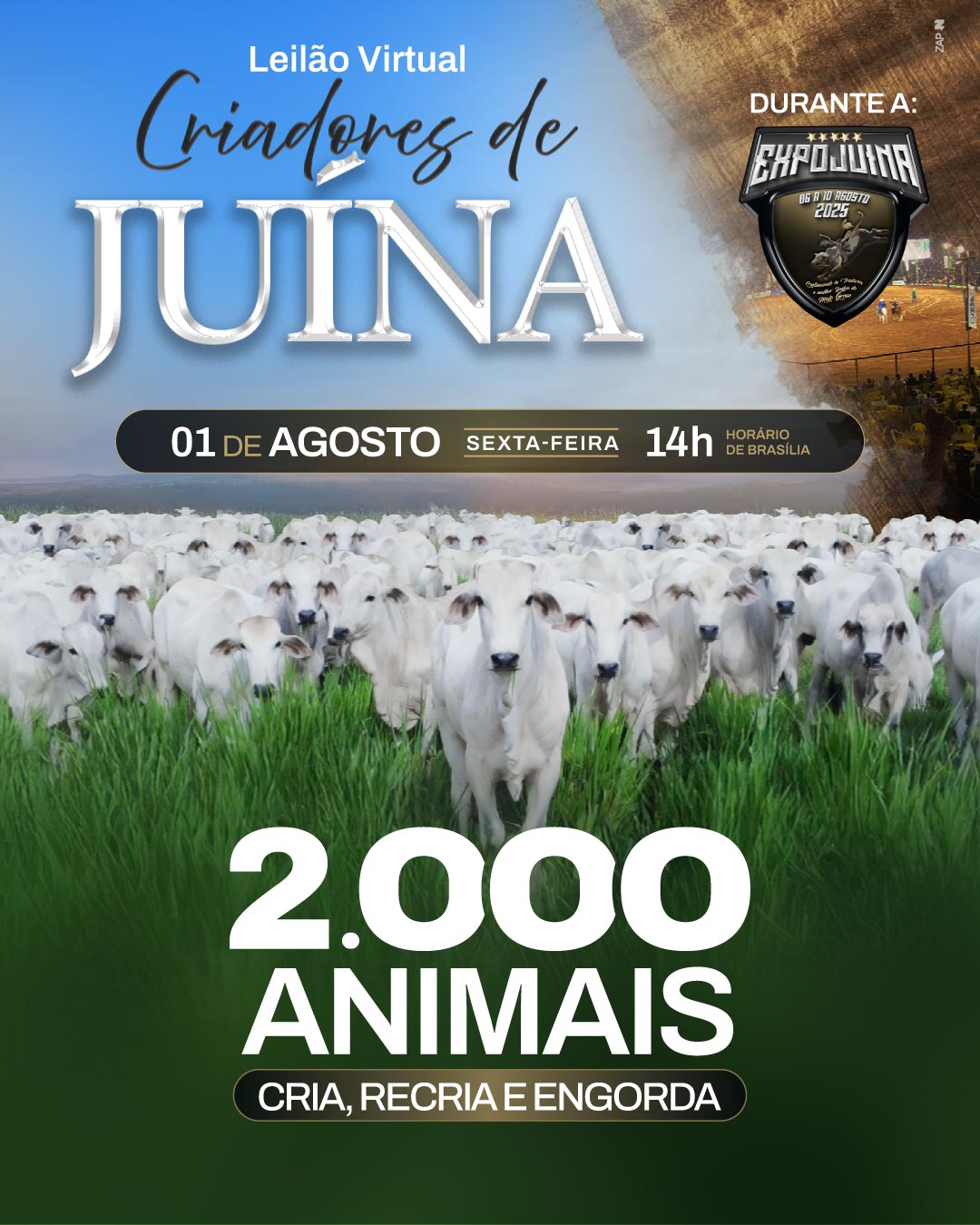 Imagem do Leilão
