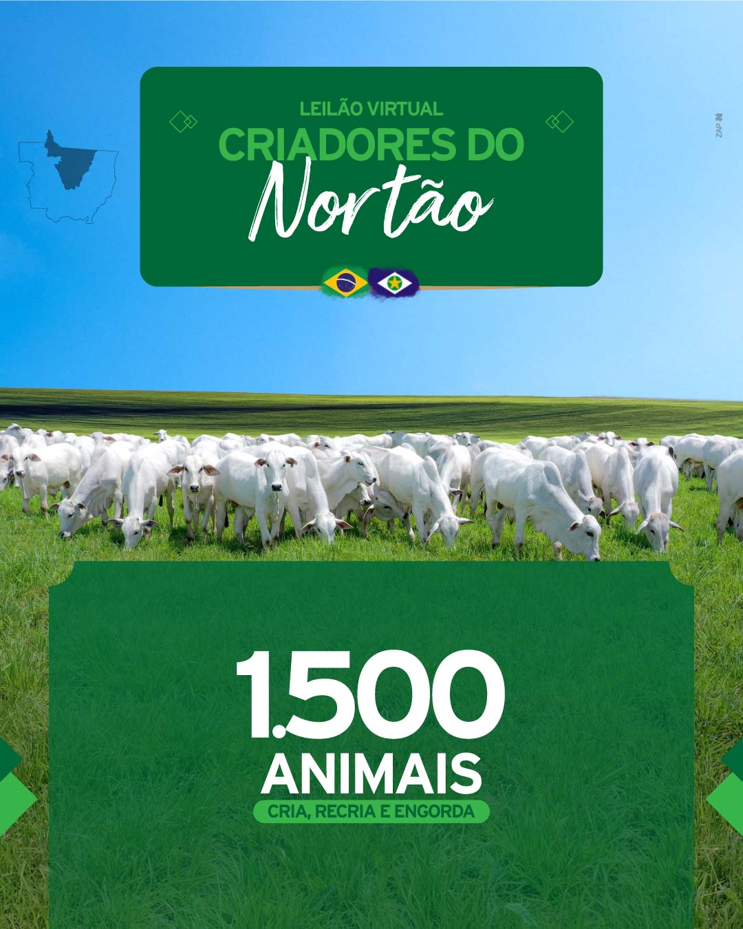 Imagem do Leilão