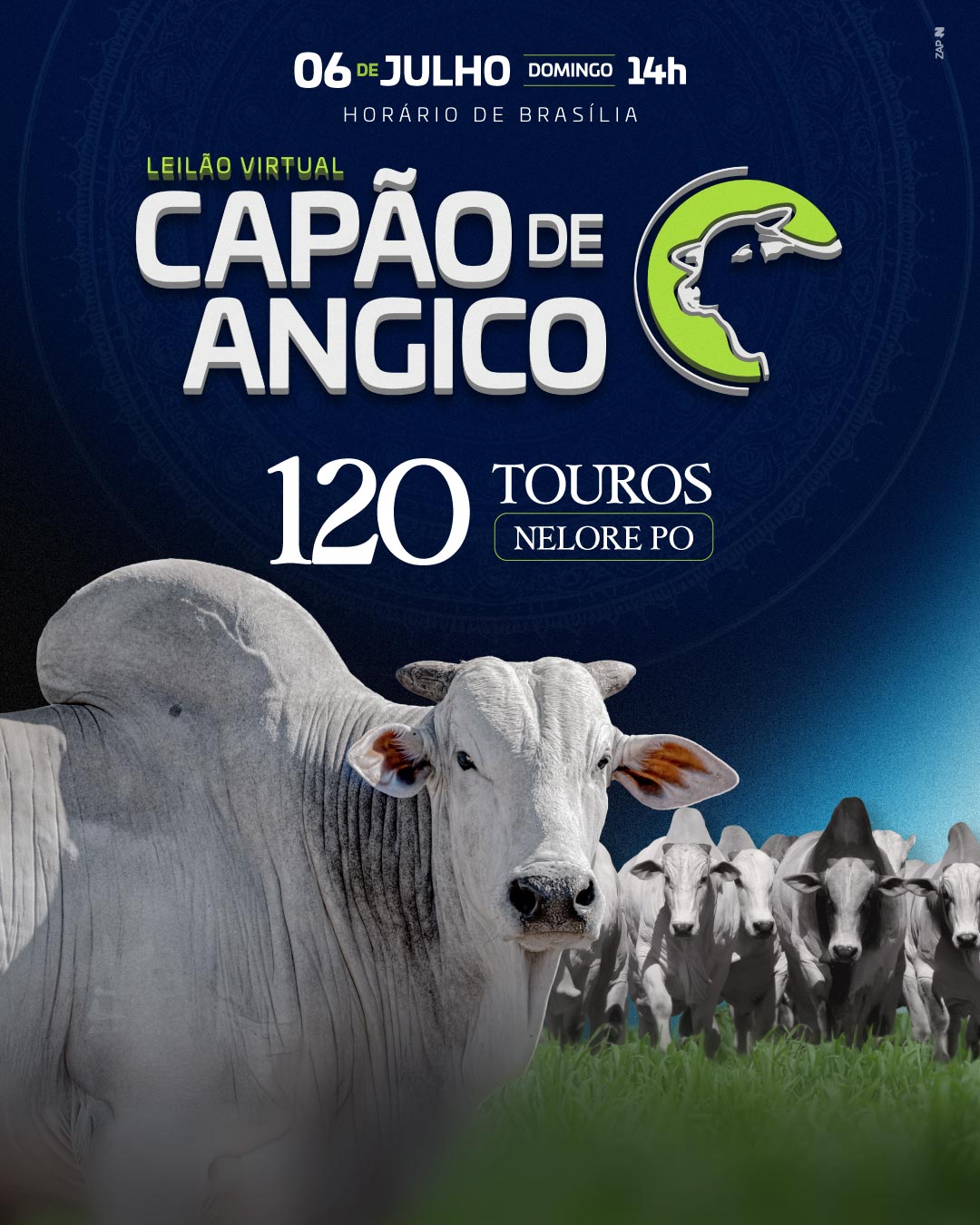 Imagem do Leilão