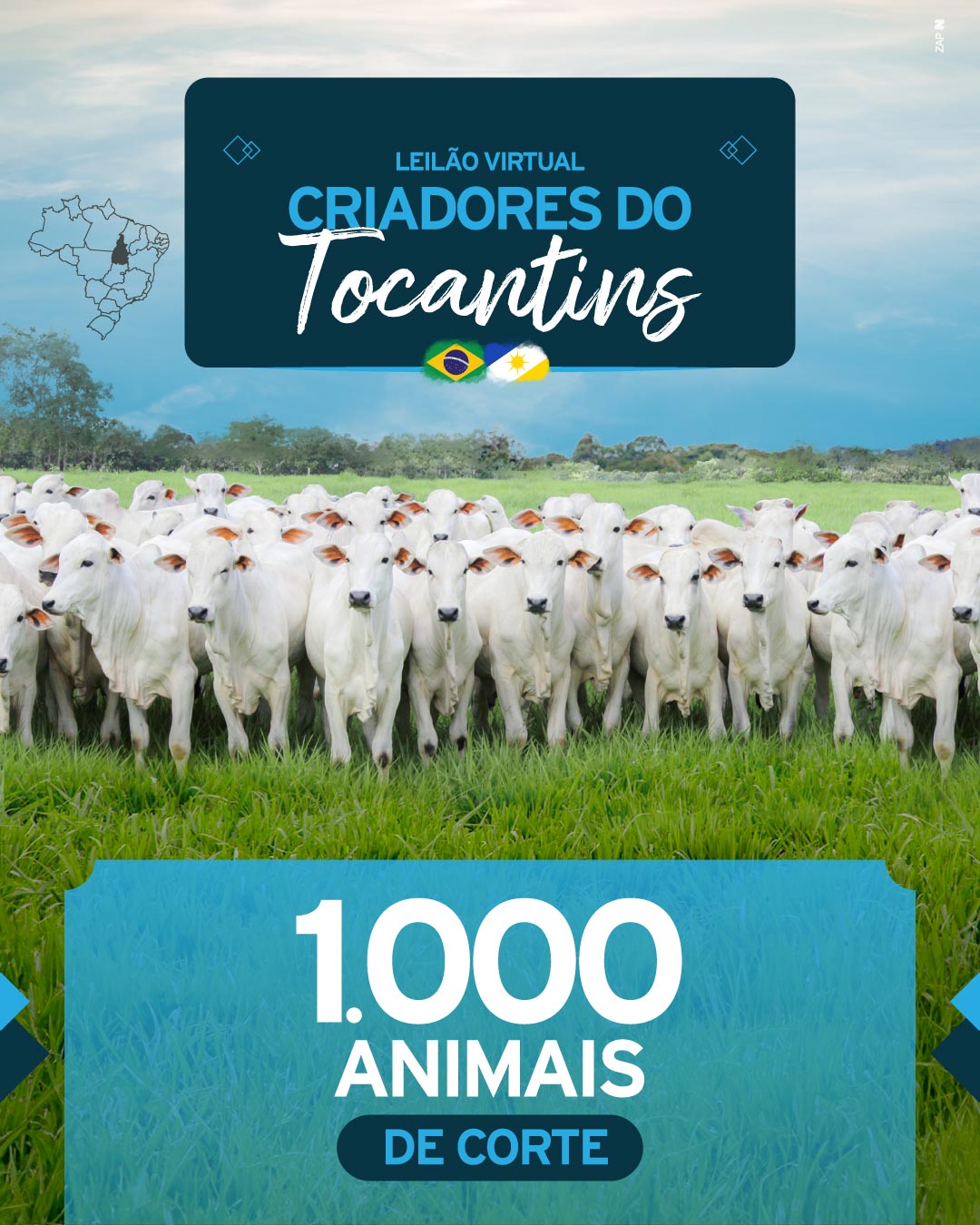 Imagem do Leilão