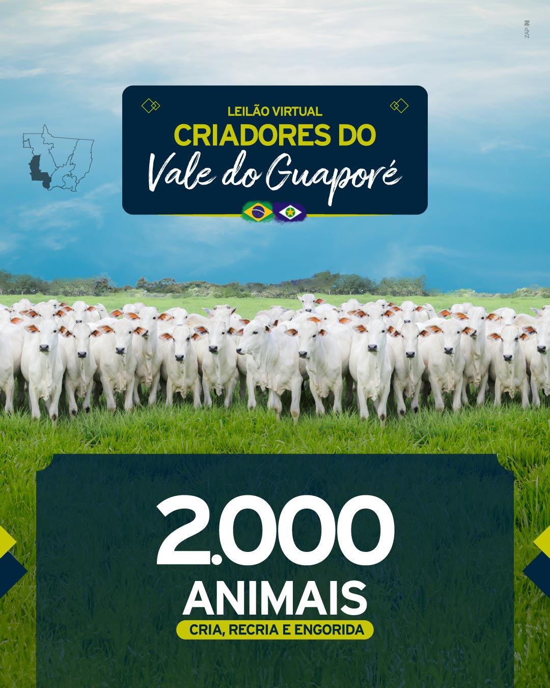 Imagem do Leilão