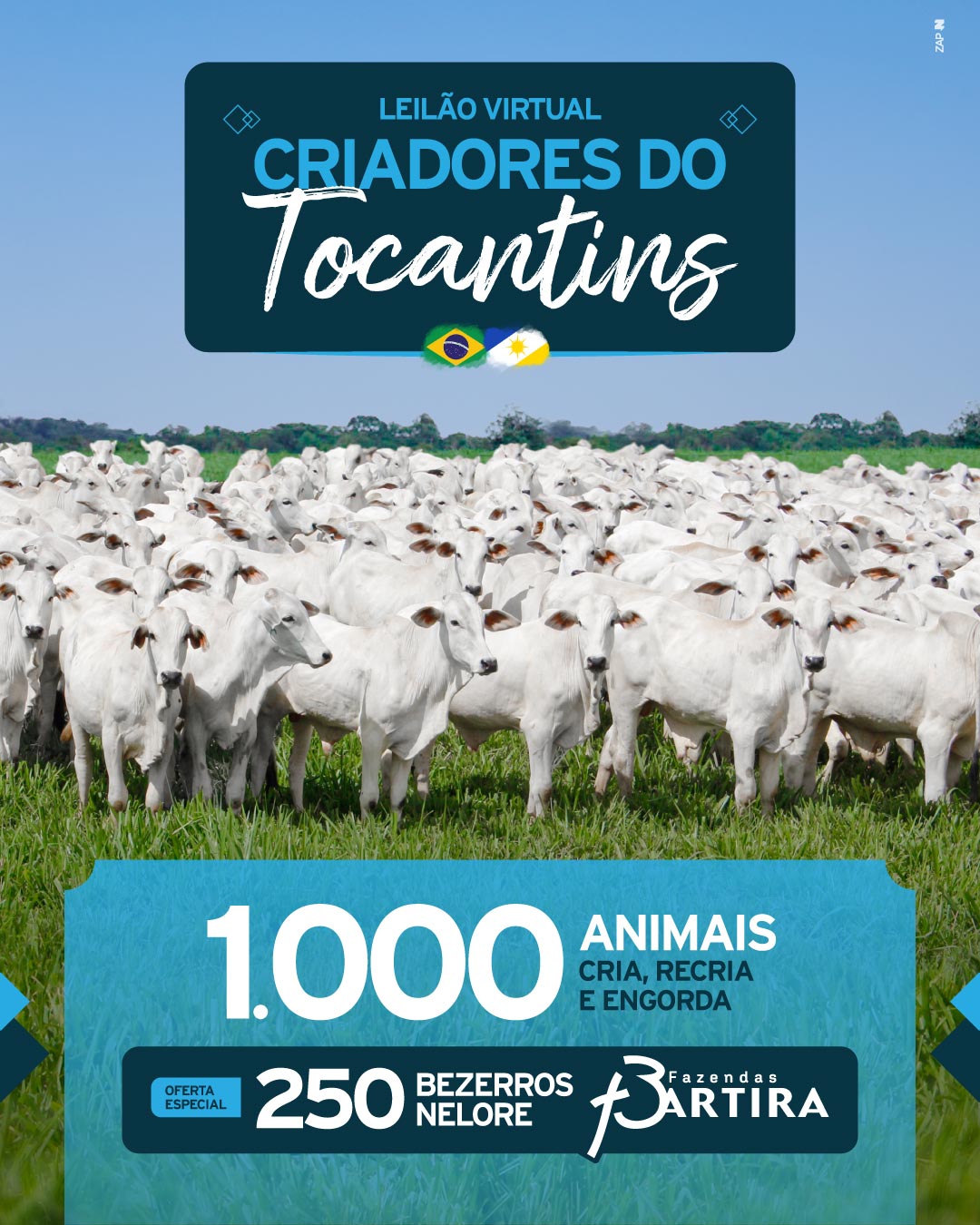 Imagem do Leilão