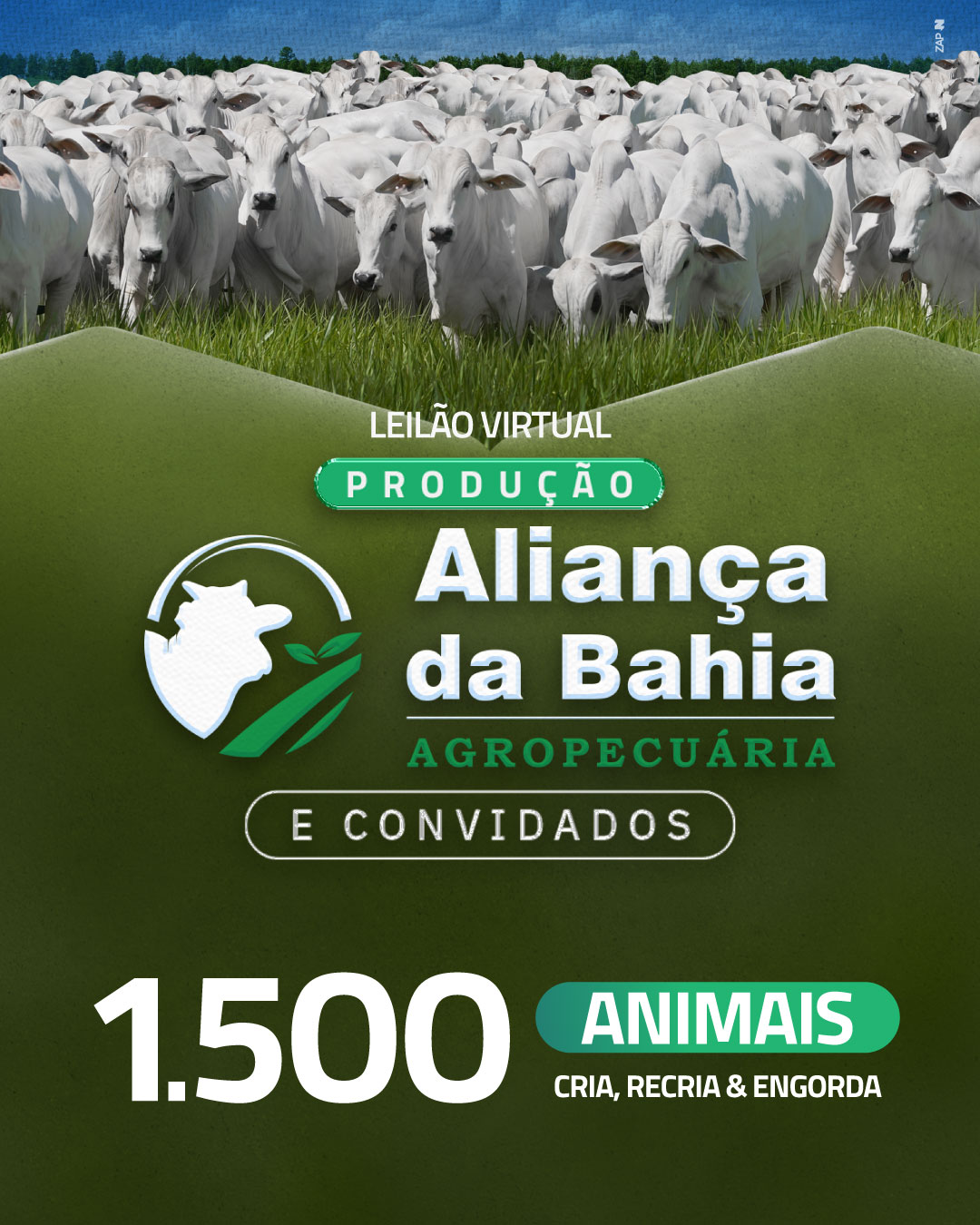 Imagem do Leilão