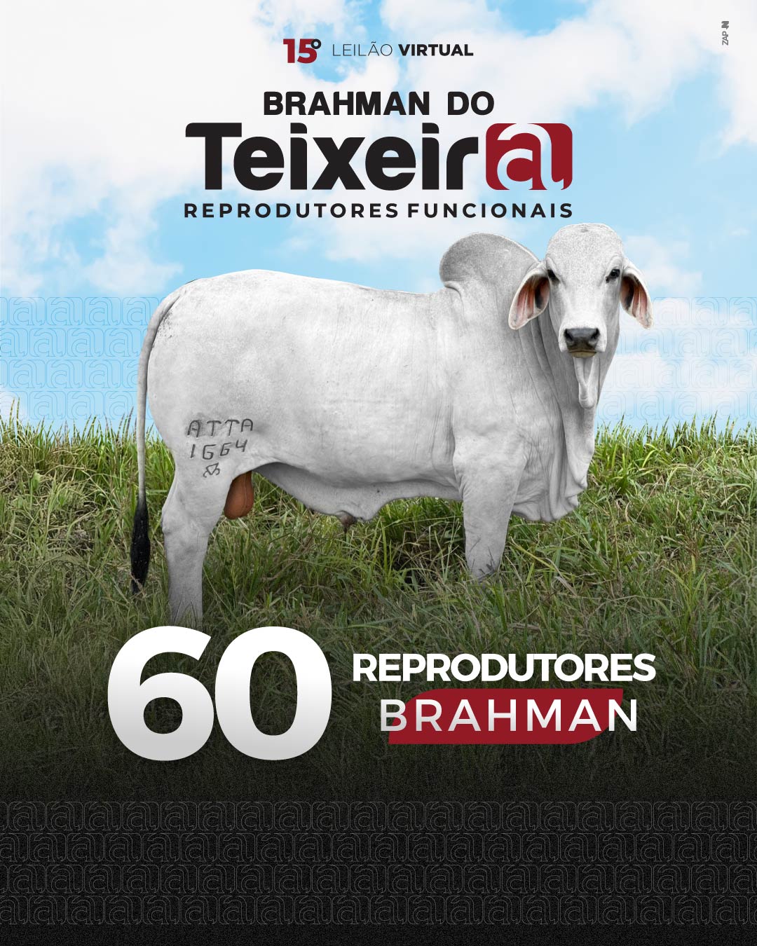 Imagem do Leilão
