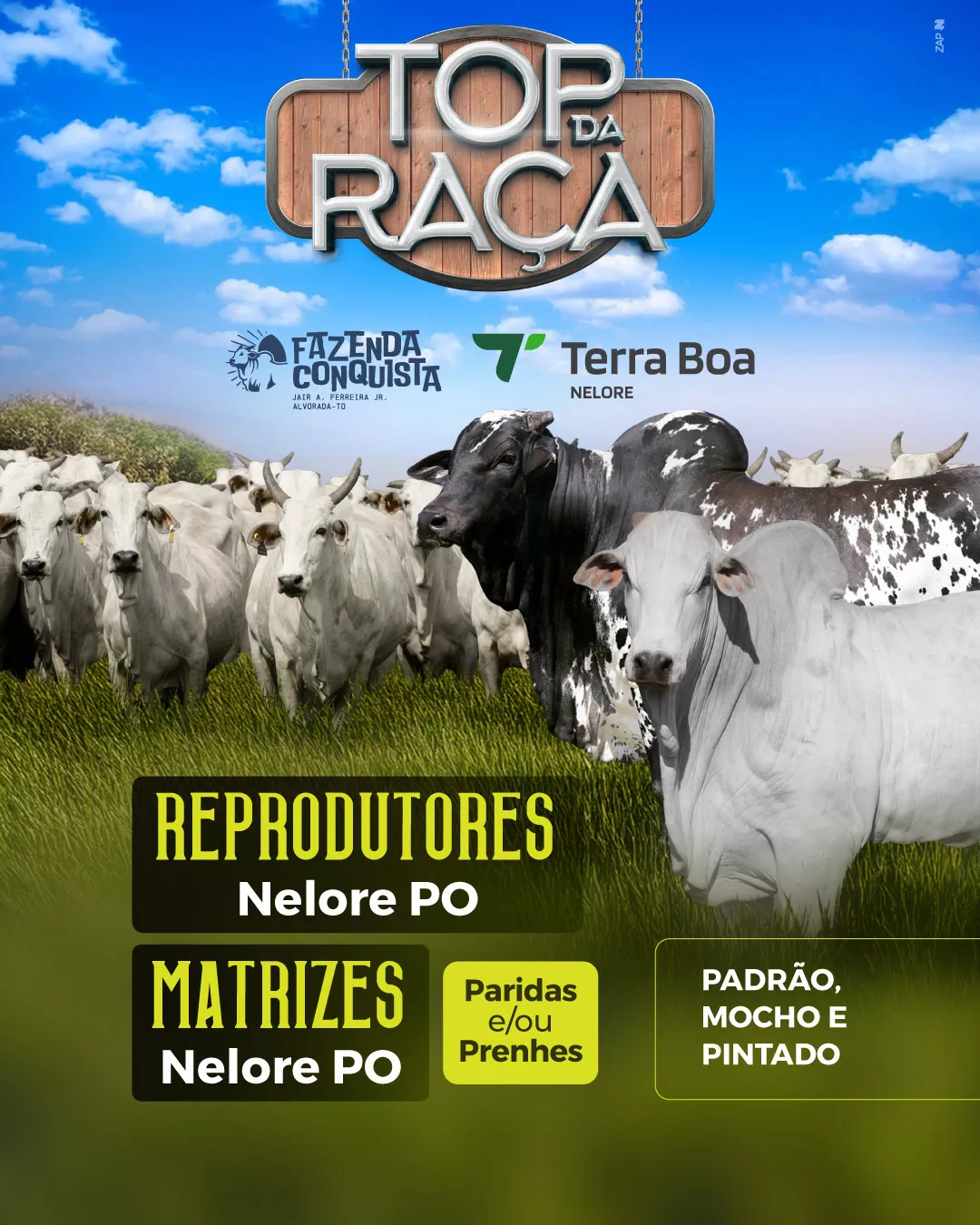 Imagem do Leilão