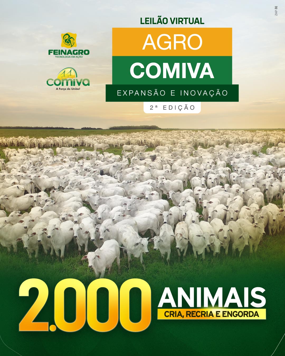 Imagem do Leilão