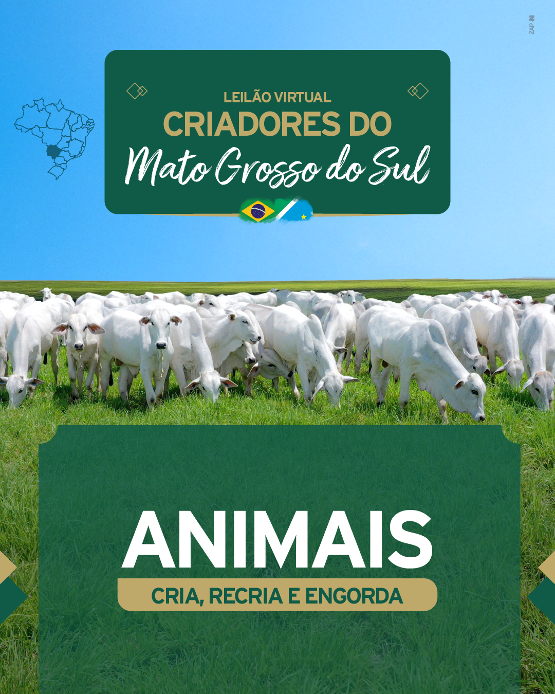 Imagem do Leilão