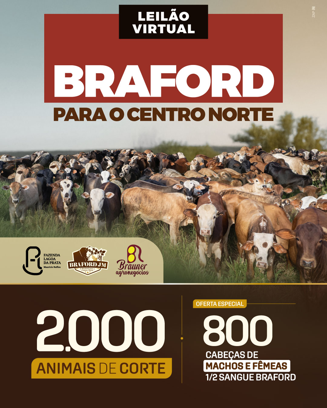 Imagem do Leilão