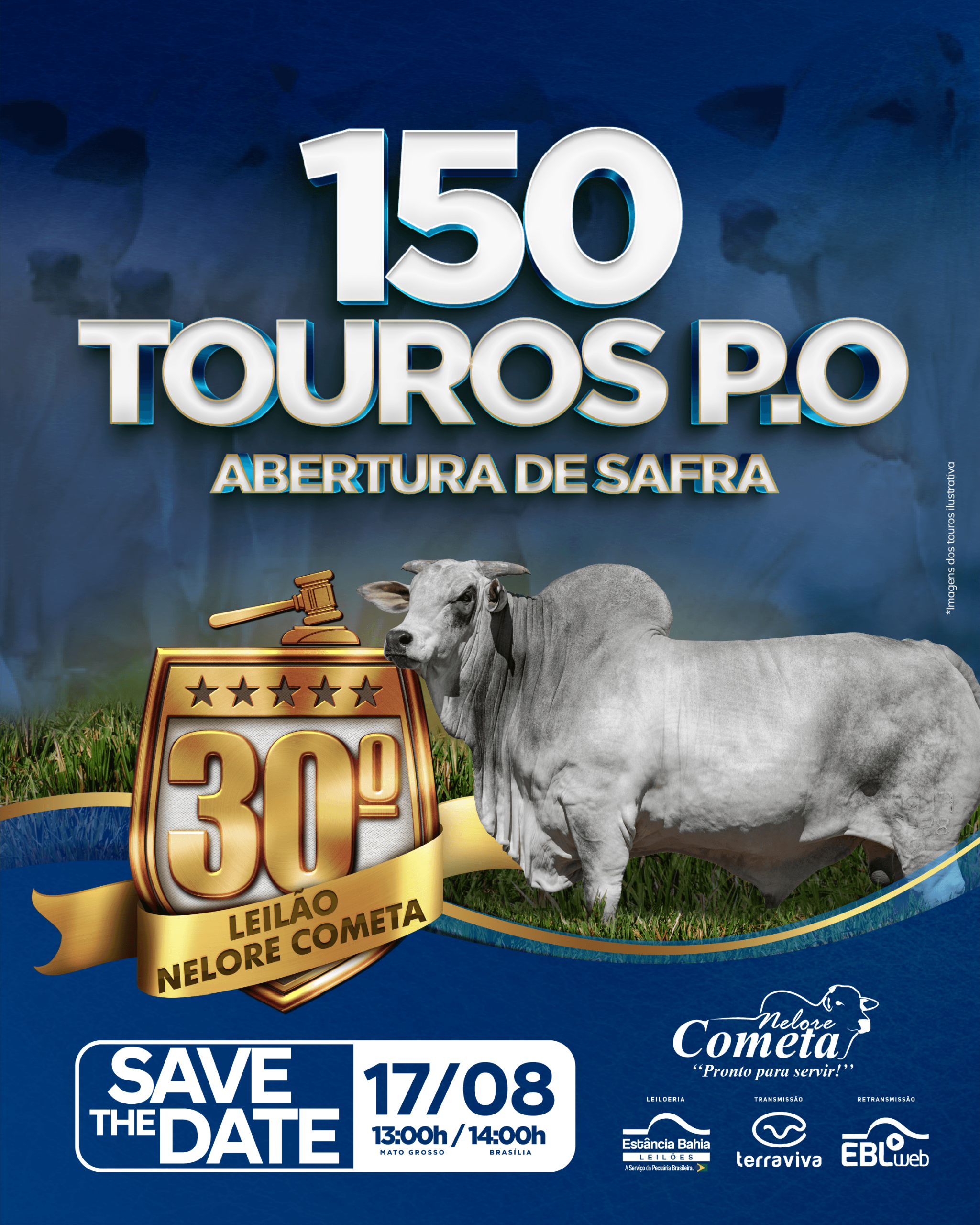 Imagem do Leilão