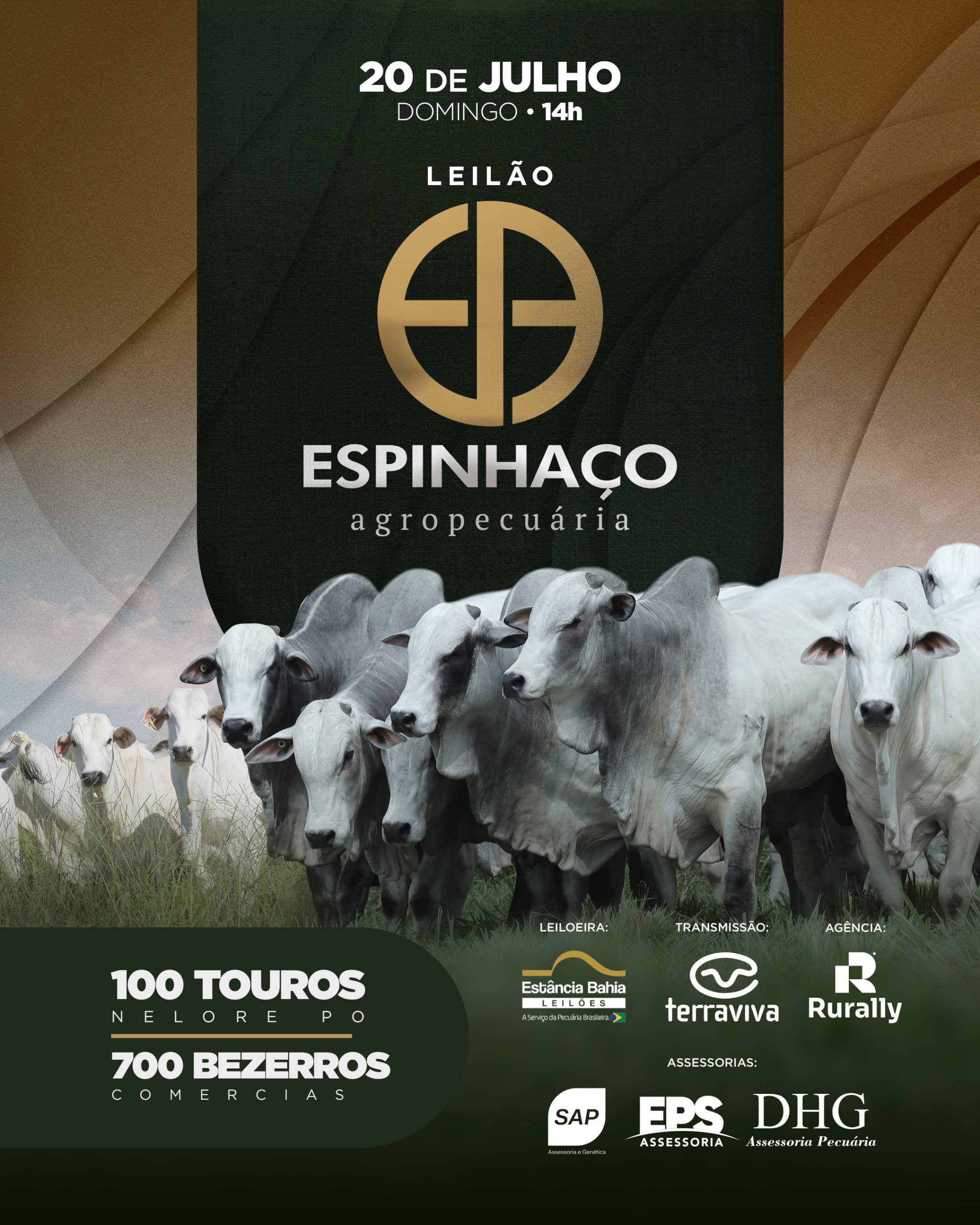 Imagem do Leilão
