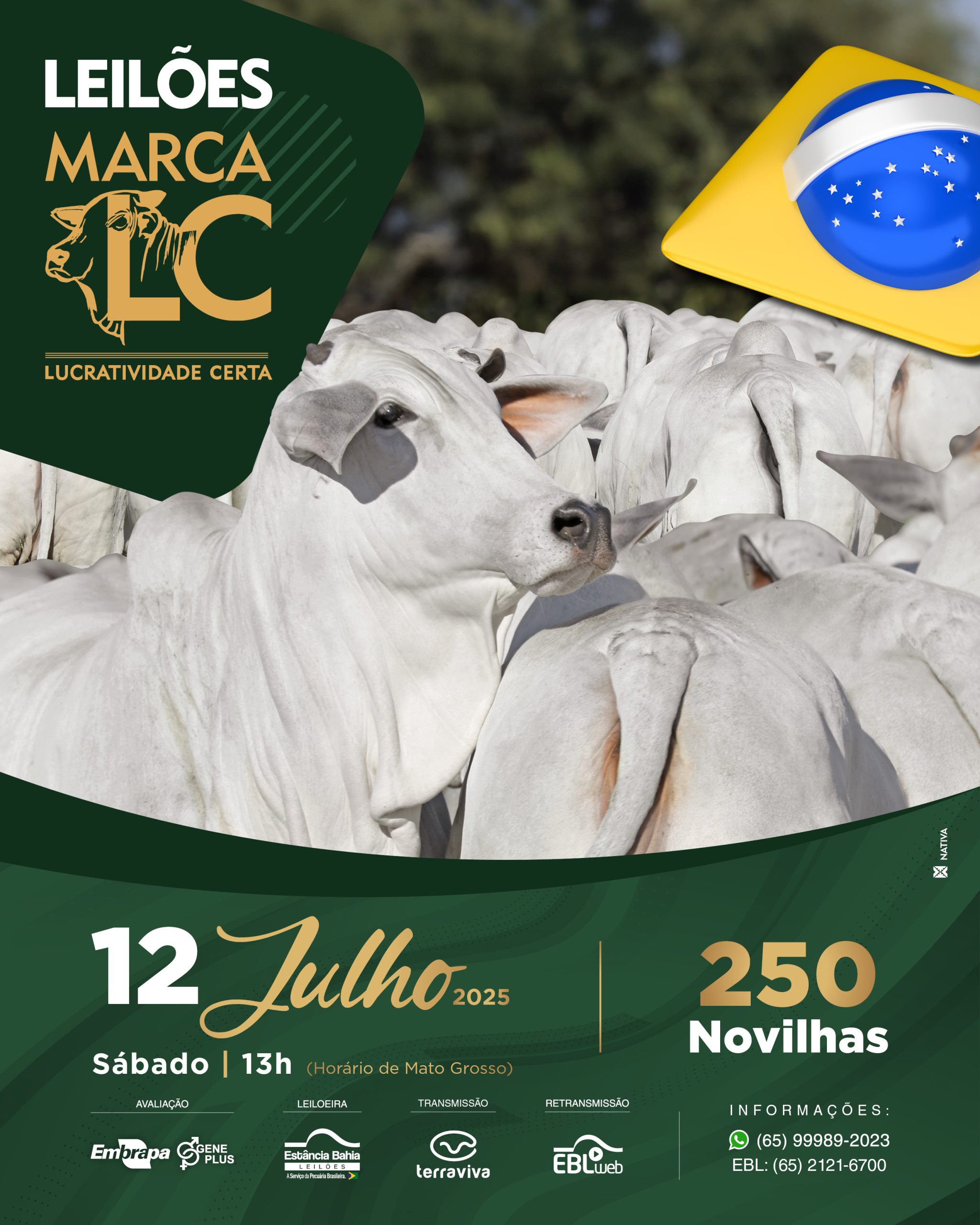 Imagem do Leilão
