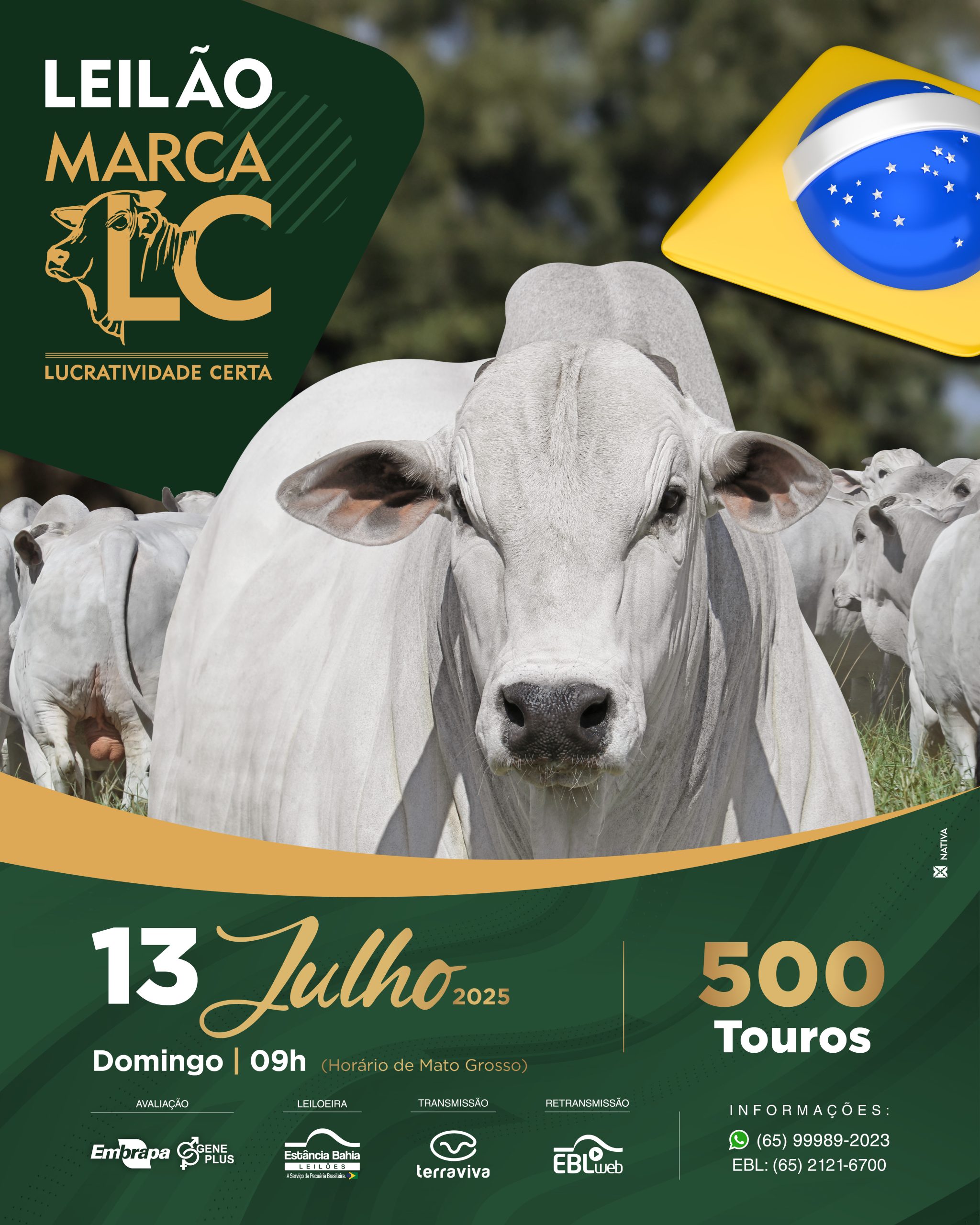 Imagem do Leilão