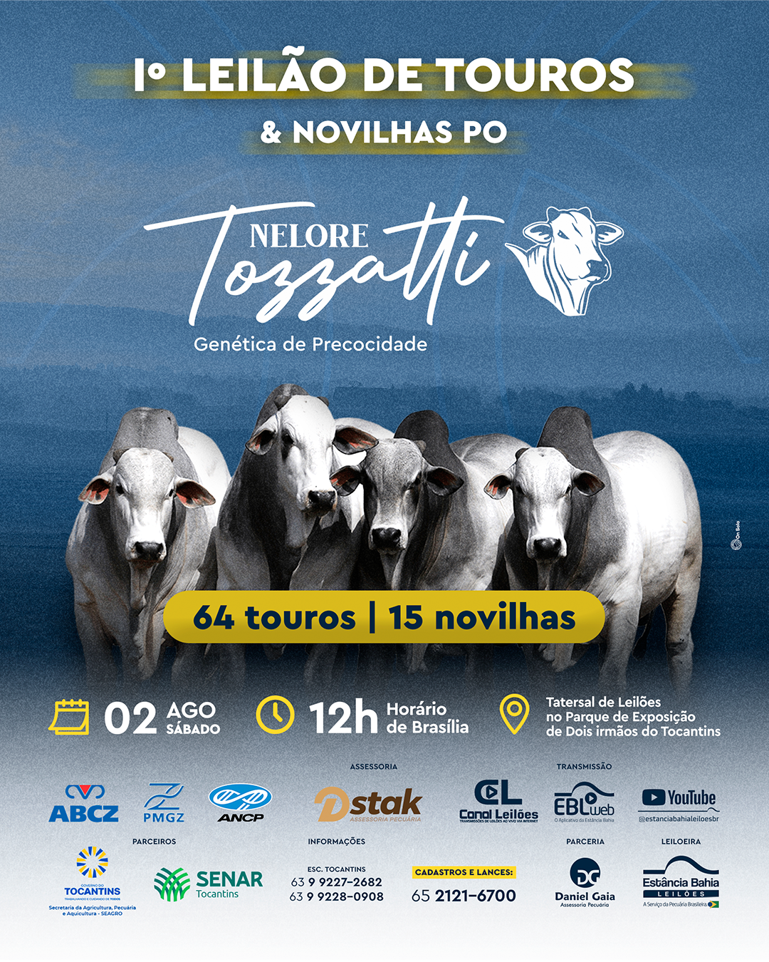 Imagem do Leilão
