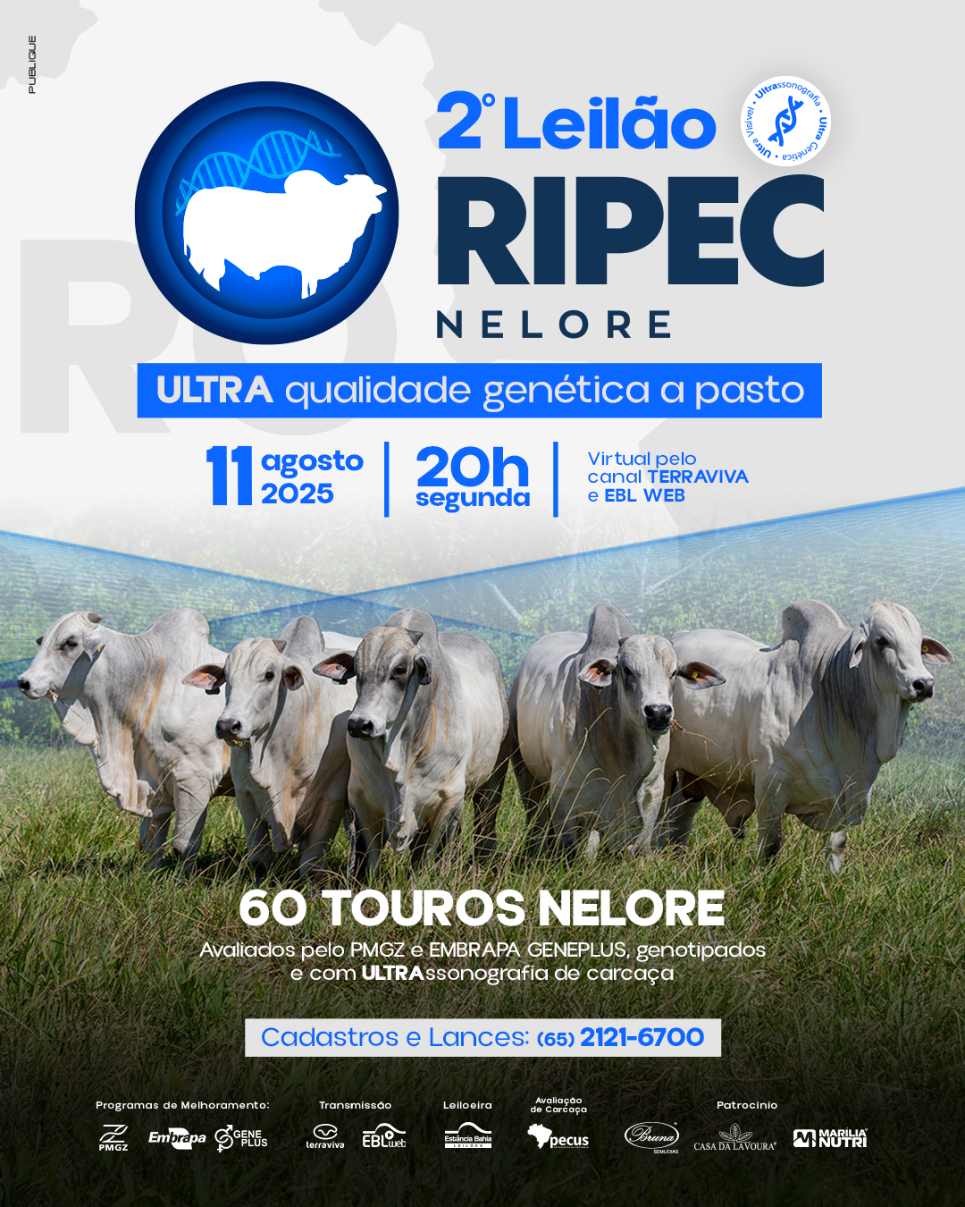 Imagem do Leilão