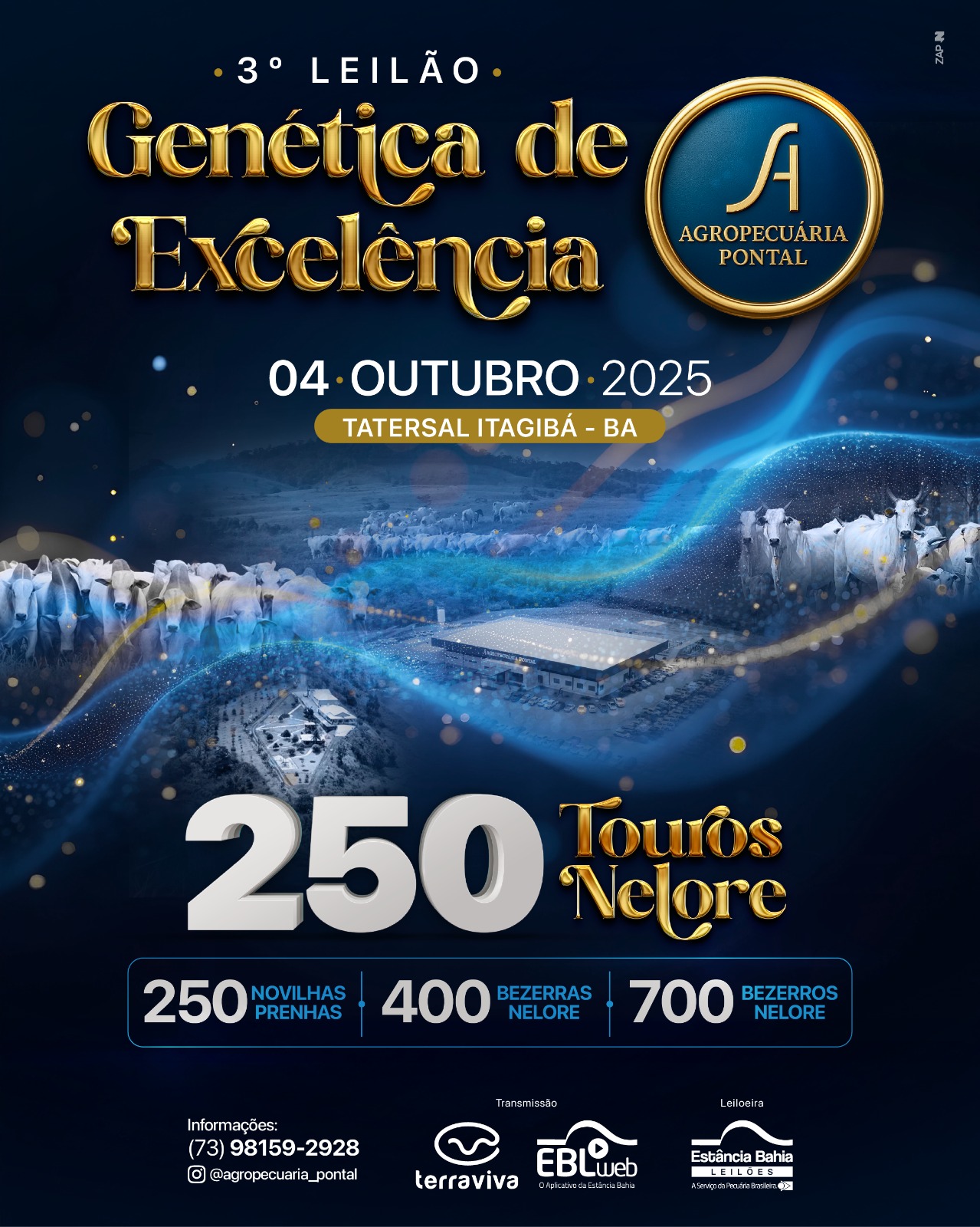 Imagem do Leilão
