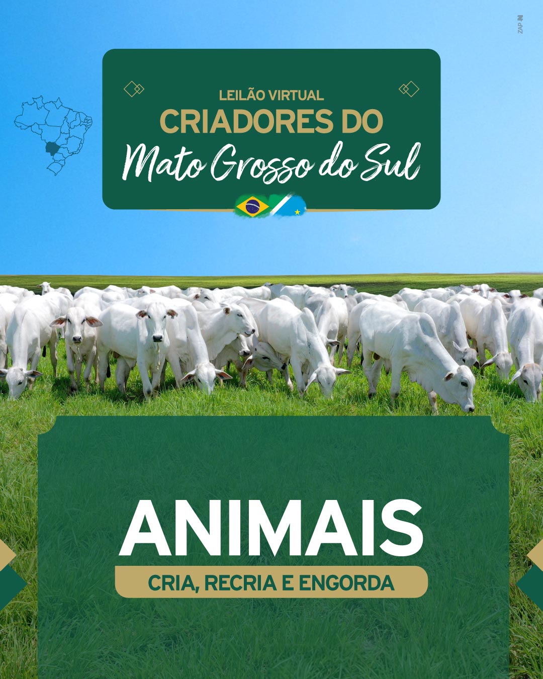 Imagem do Leilão