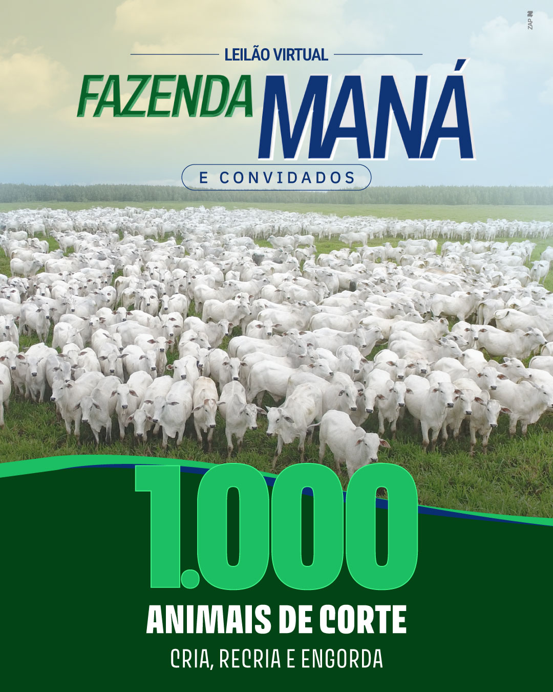 Imagem do Leilão