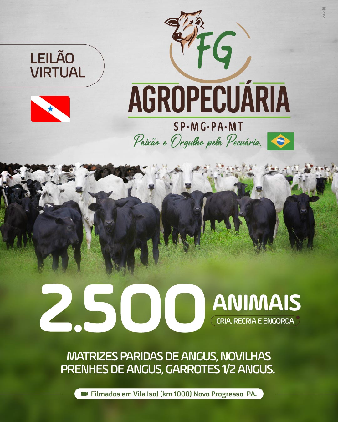 Imagem do Leilão