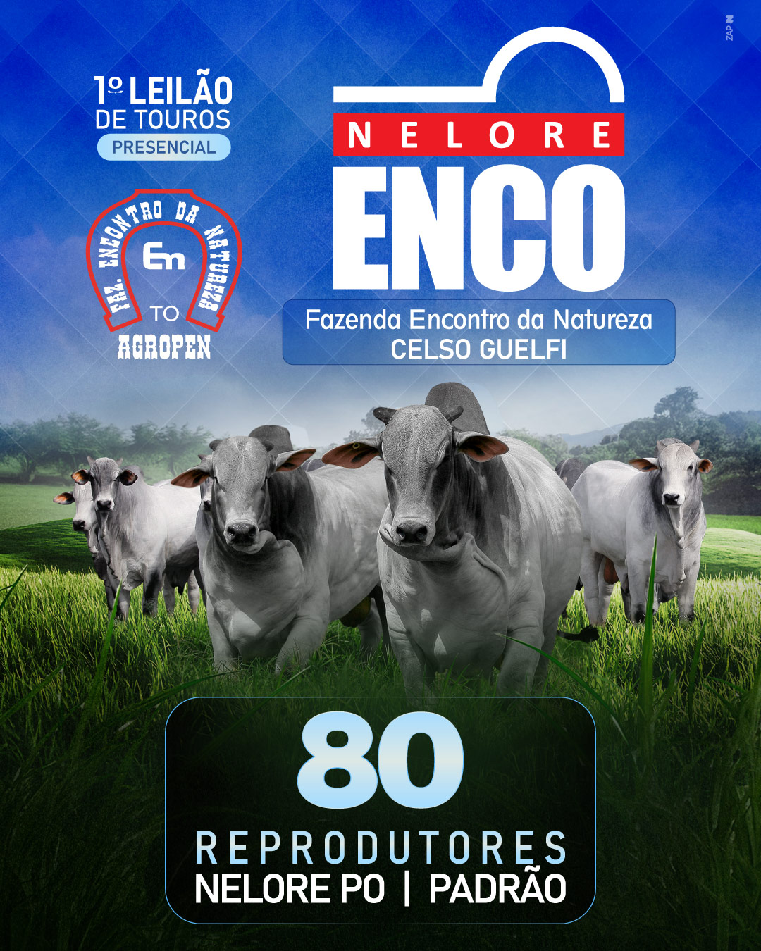 Imagem do Leilão