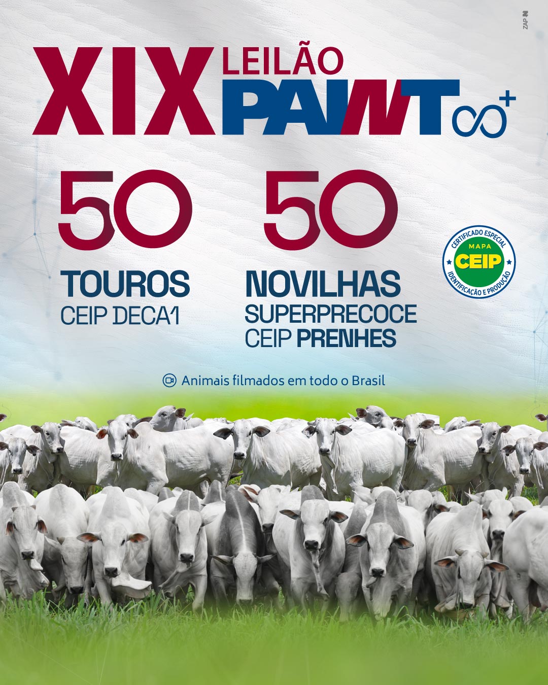 Imagem do Leilão