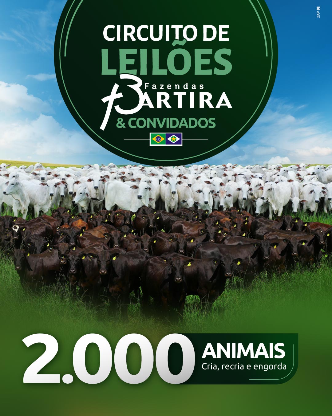 Imagem do Leilão