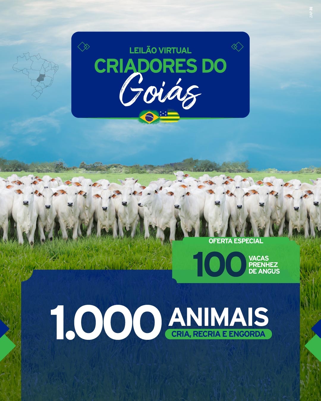 Imagem do Leilão
