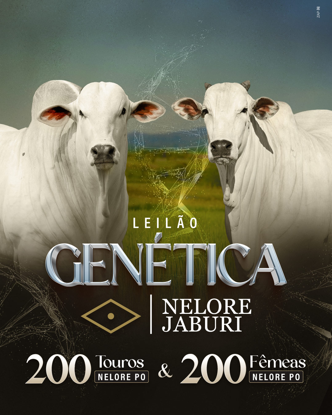 Imagem do Leilão