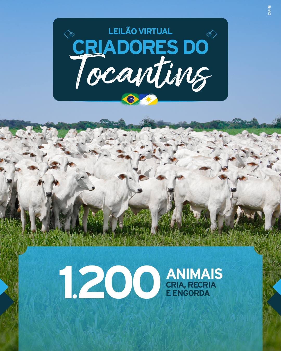 Imagem do Leilão