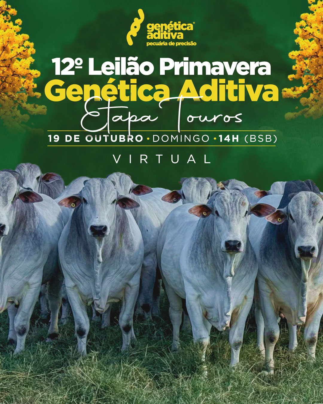Imagem do Leilão