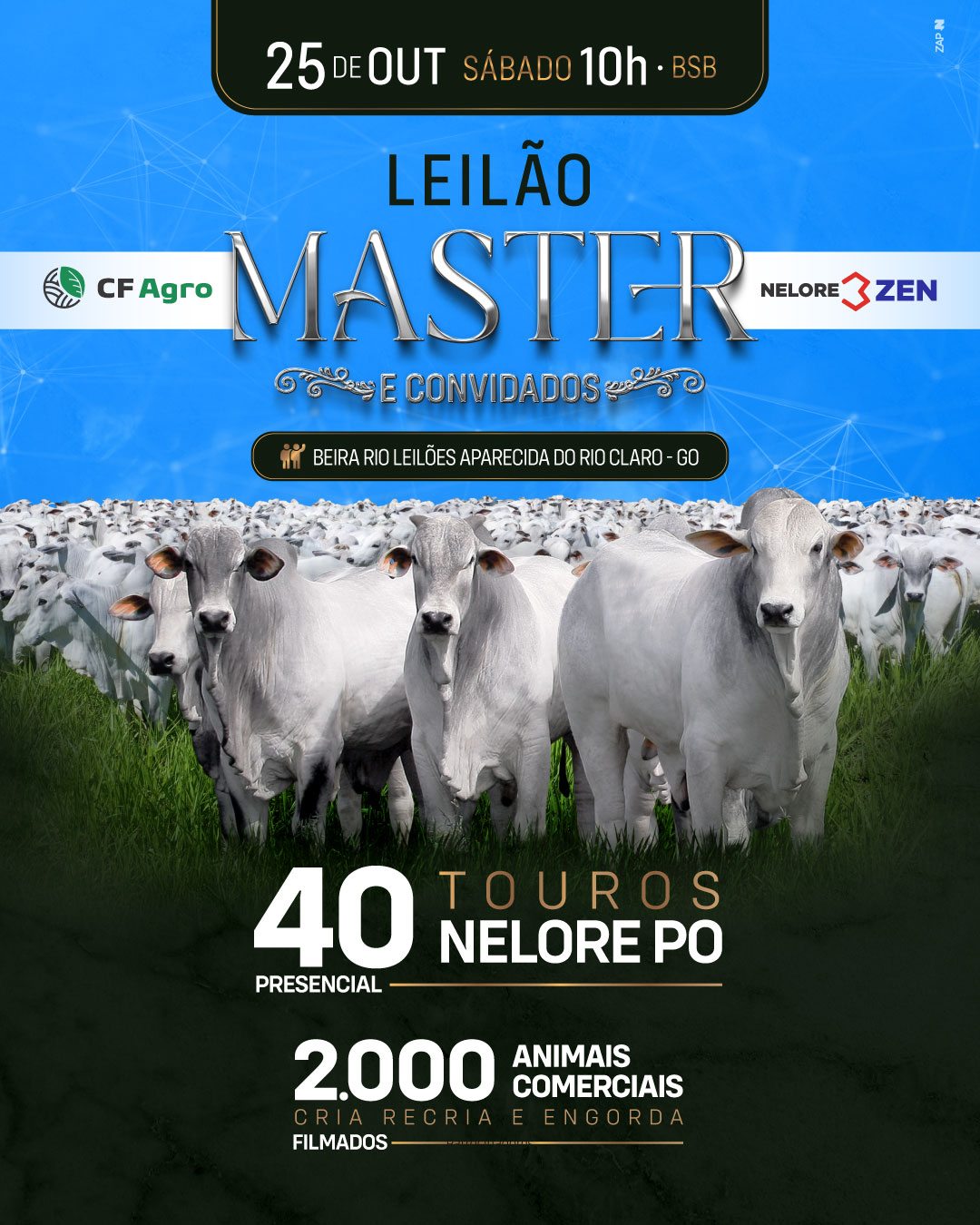 Imagem do Leilão