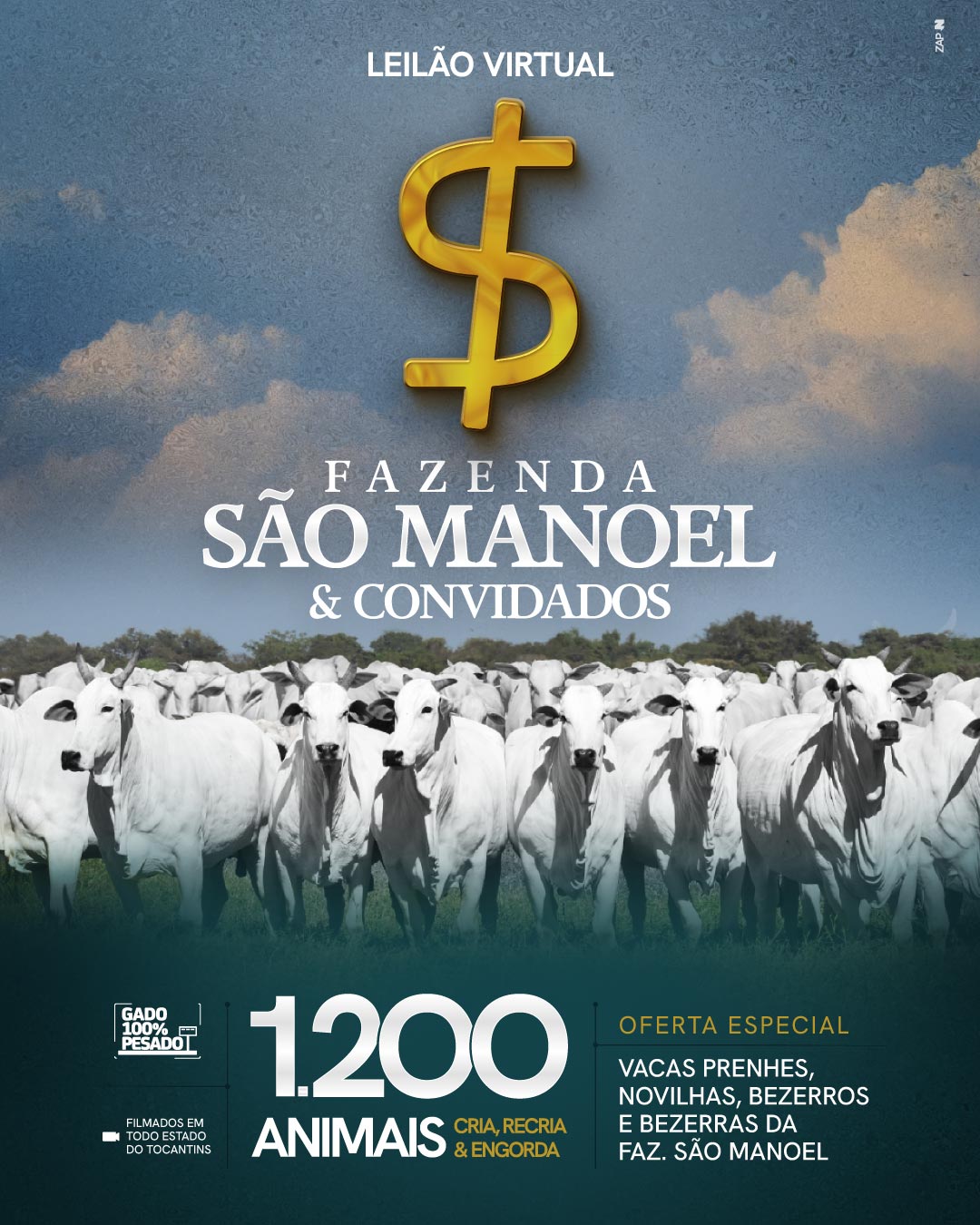 Imagem do Leilão