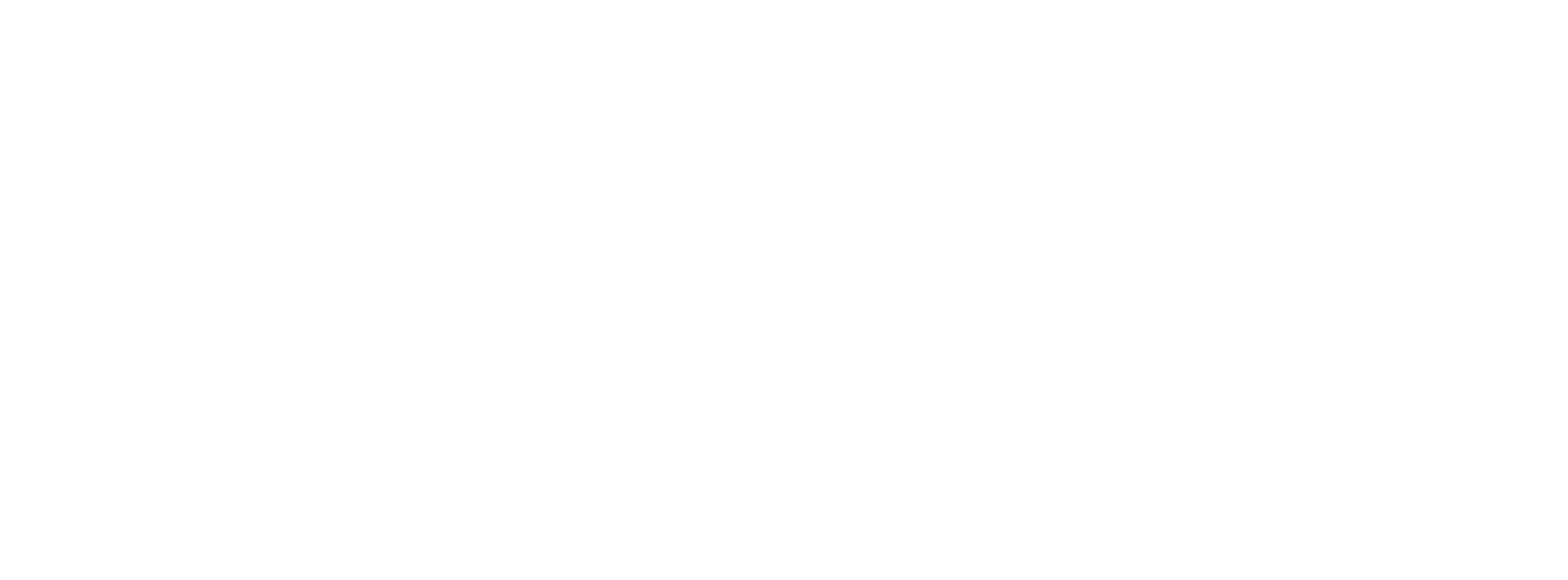 Logo_Facholi_Negativa_png_