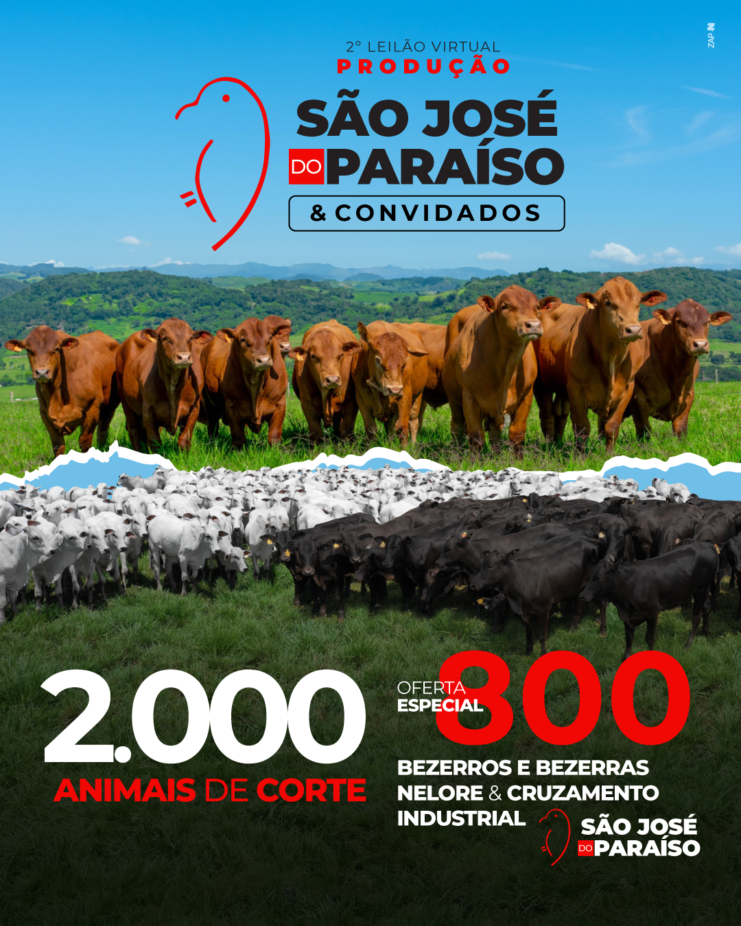 Imagem do Leilão