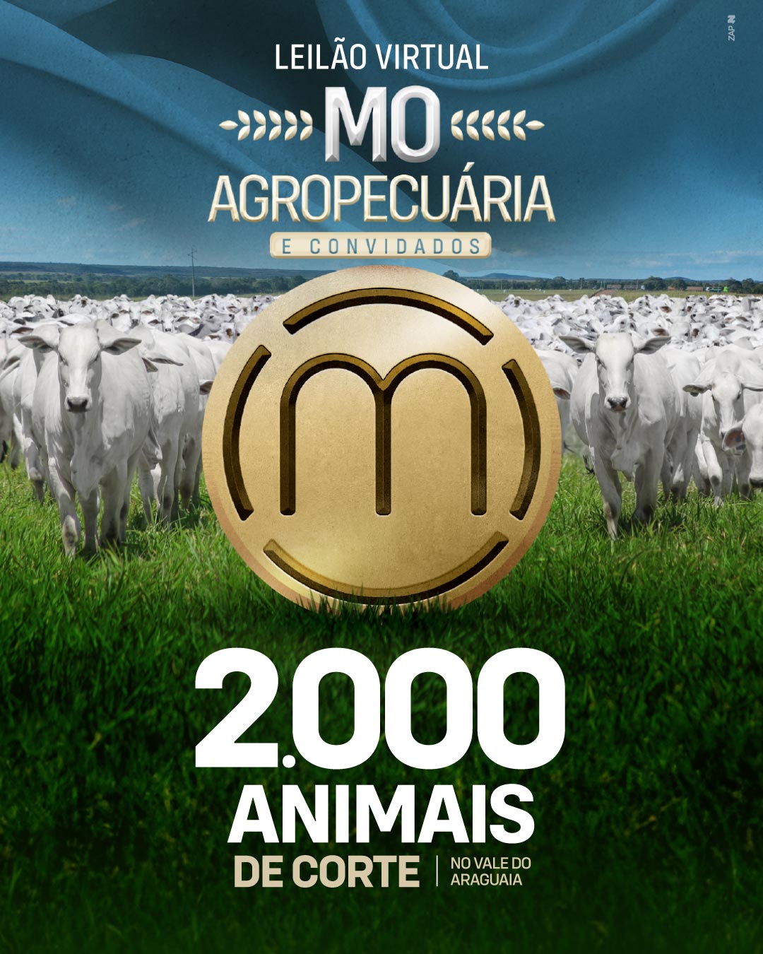Imagem do Leilão