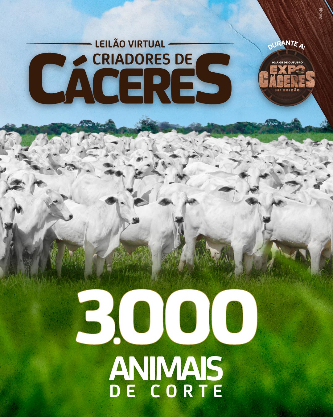 Imagem do Leilão