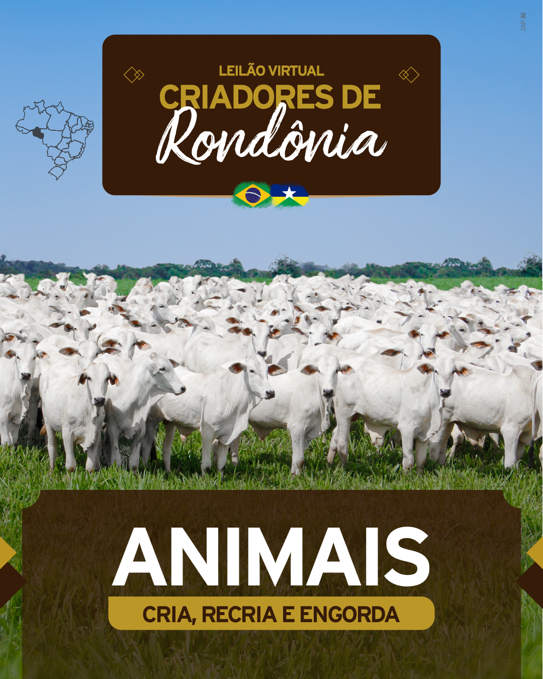Imagem do Leilão
