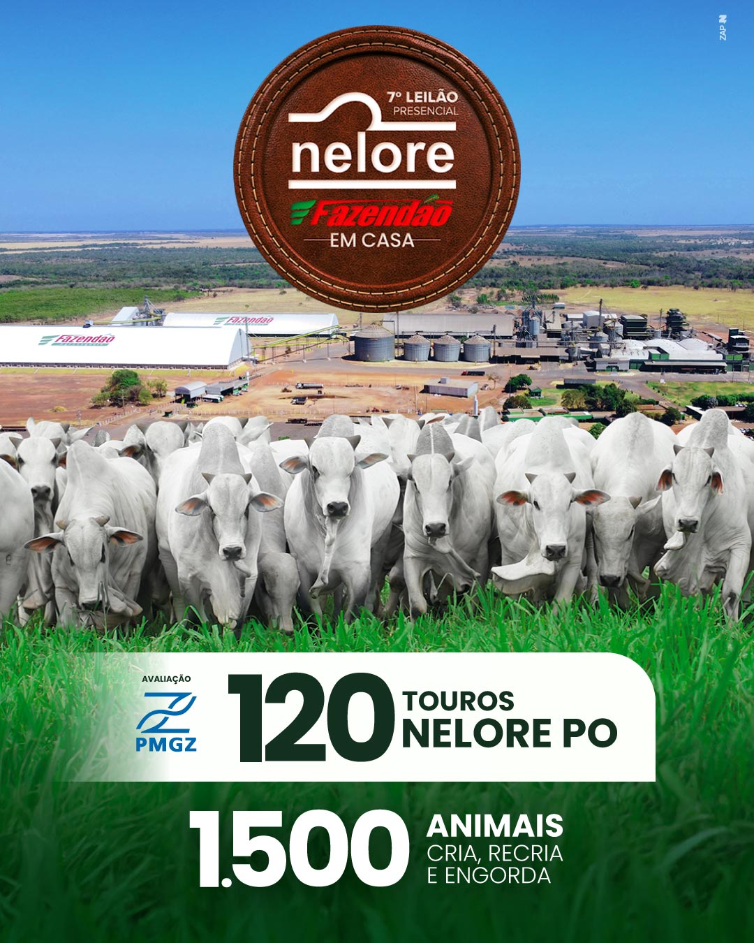Imagem do Leilão