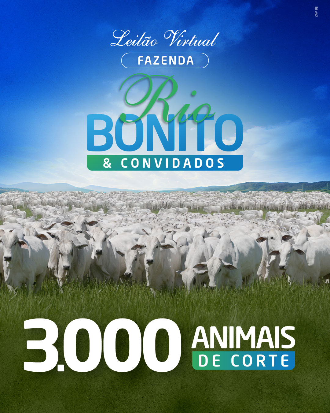 Imagem do Leilão