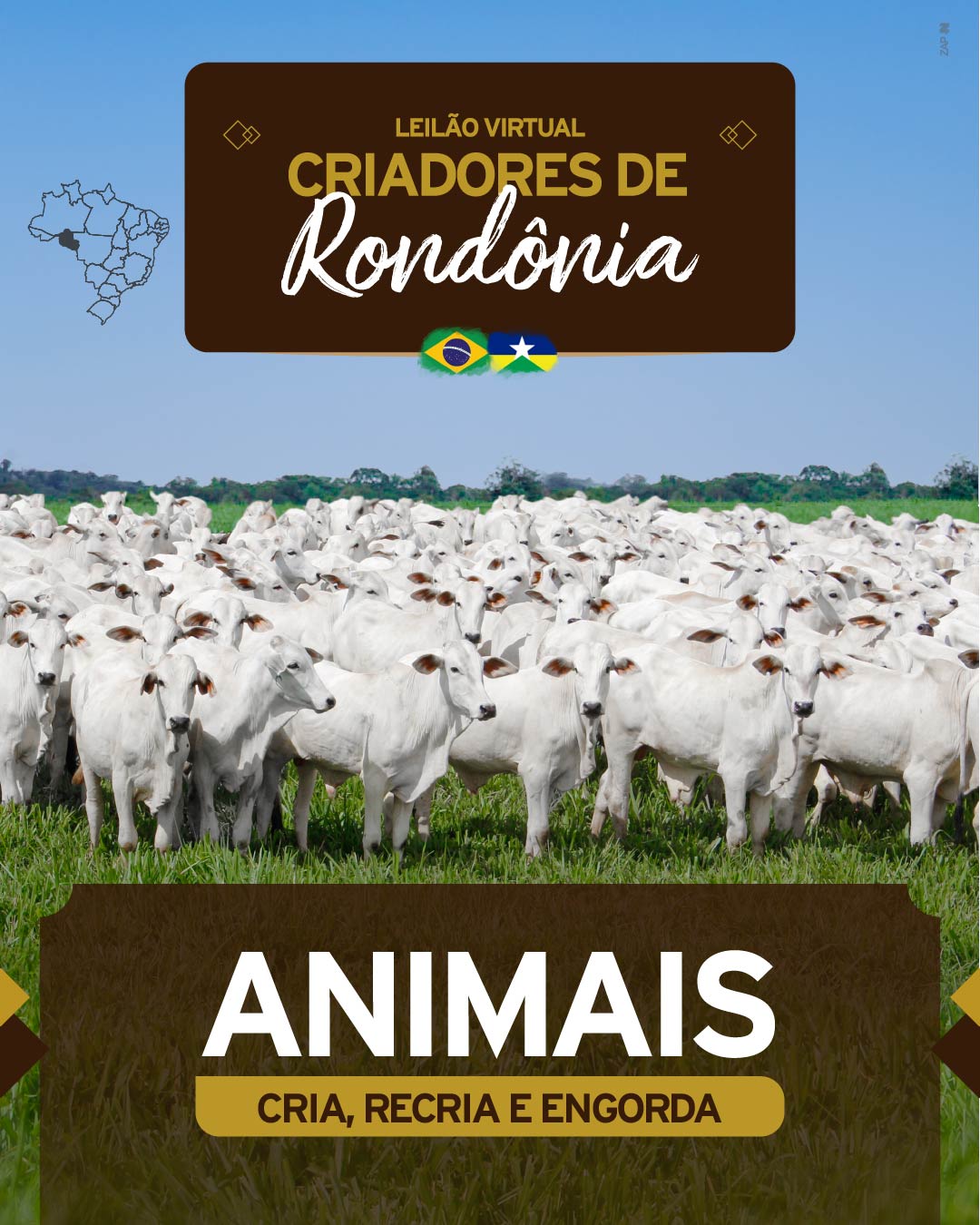 Imagem do Leilão