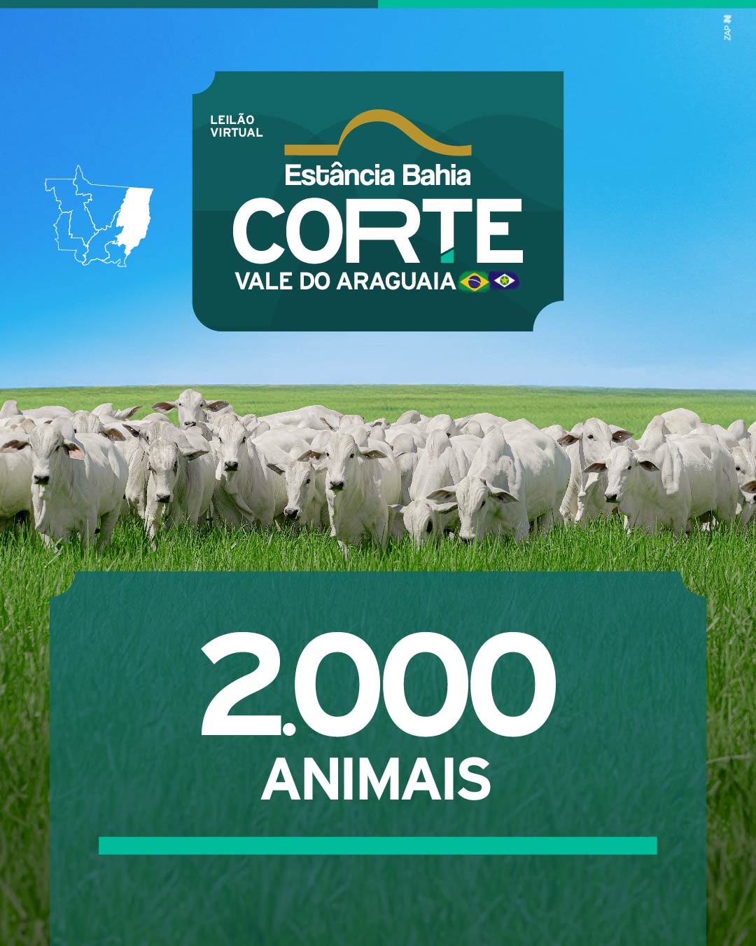 Imagem do Leilão